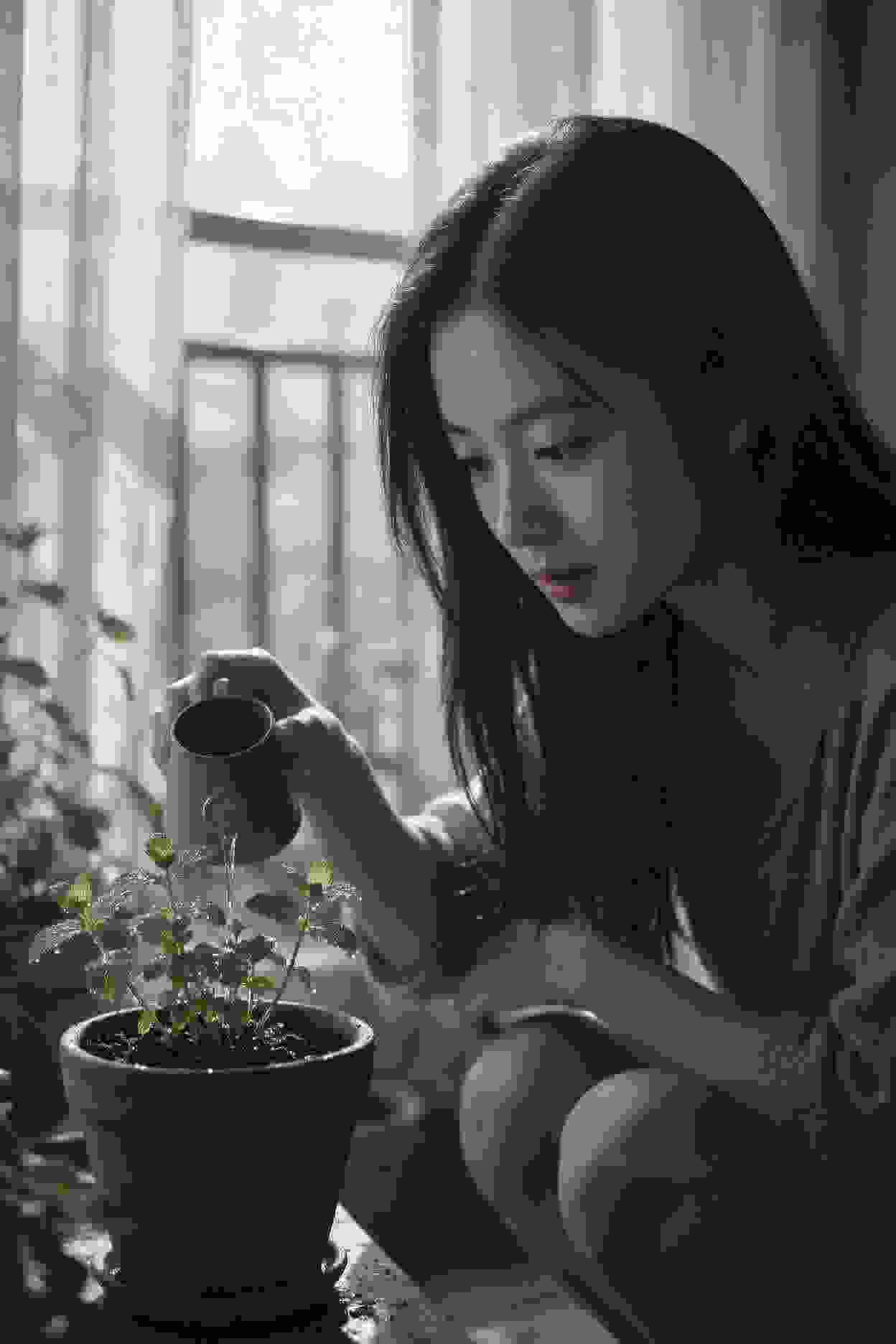 苍兰诀